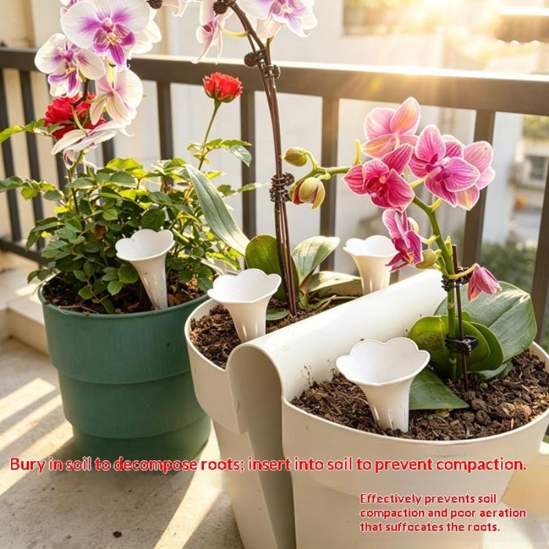 Plant Conische Wortelbeschermi - Bonsai Garden At Home recensie en prijs